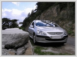 Peugeot 307 2.0S 3dv